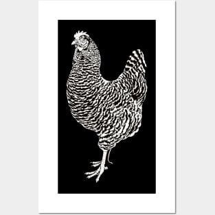 Black and white drawing of an Plymouth Rock chicken Posters and Art